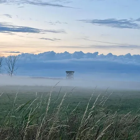 Slowcabin Dom wakacyjny *