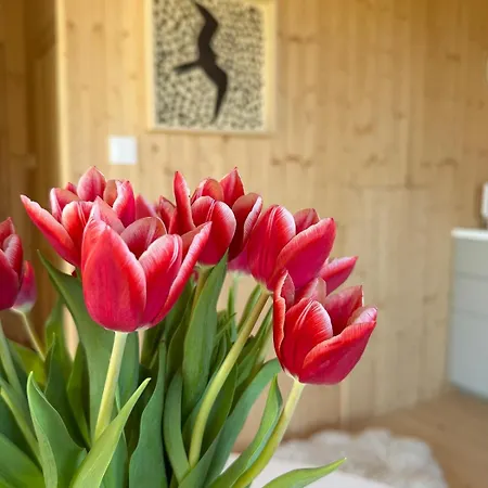 Slowcabin بيت للعطل Retowo (Pomerania)