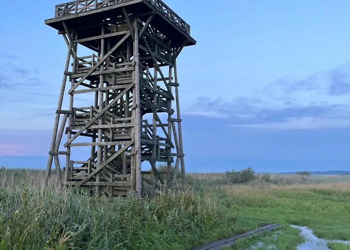 Slowcabin